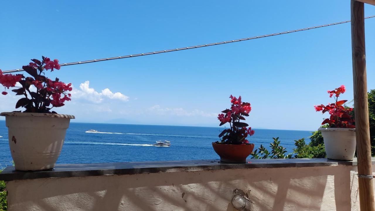 Villa Gianna Amalfi Coast 콩카데이마리니 외부 사진
